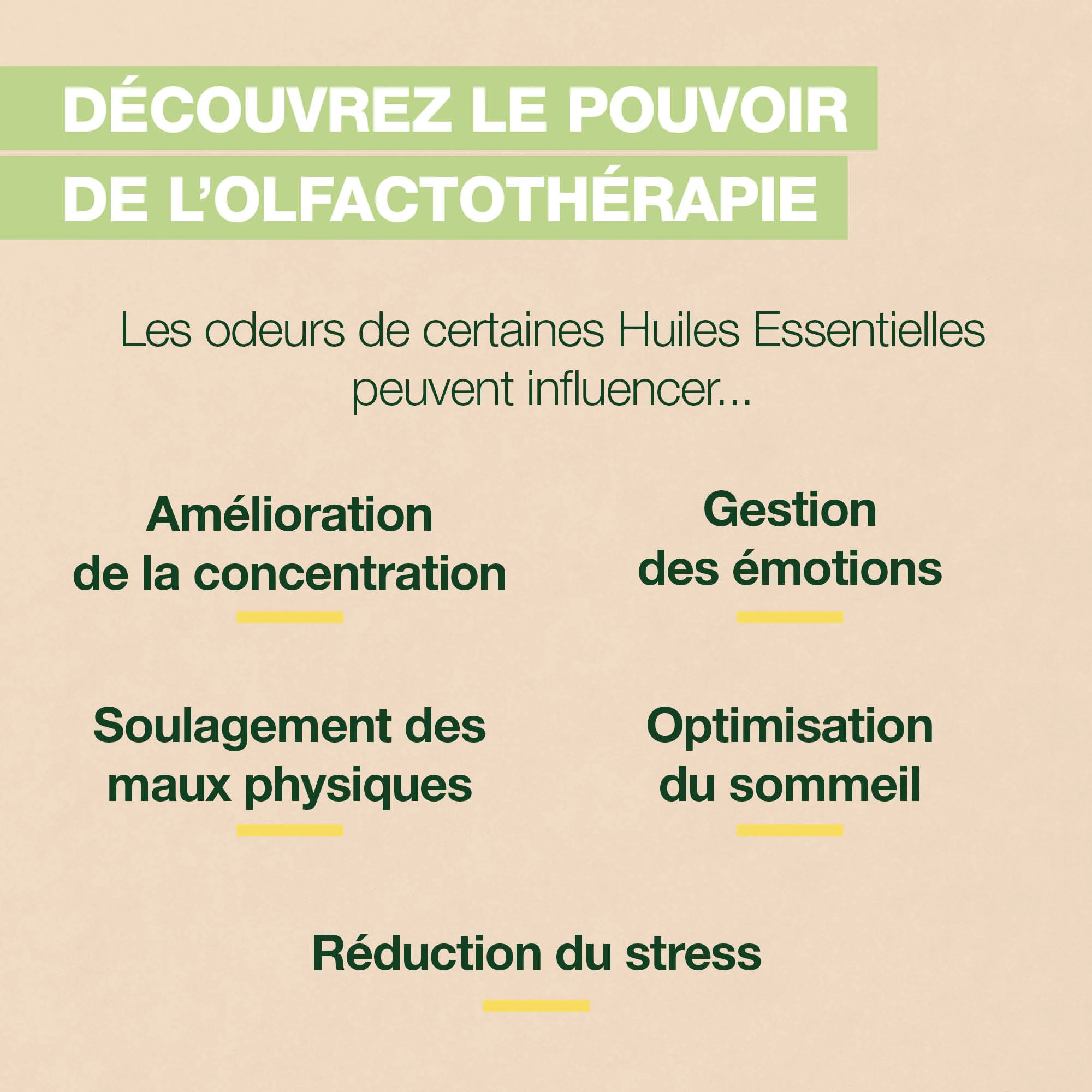 Roll-on Focus - Bio - Image 6