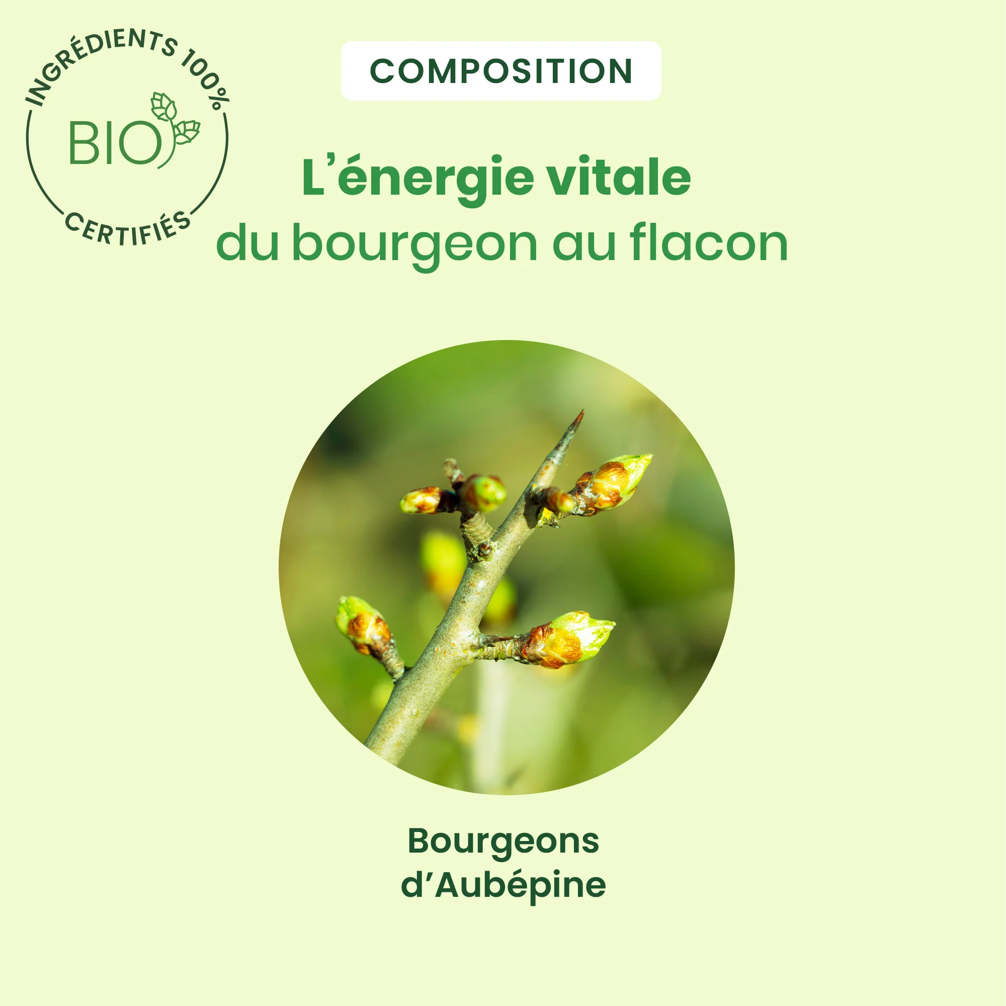 Bourgeon d'Aubépine - spray - Bio - Image 4