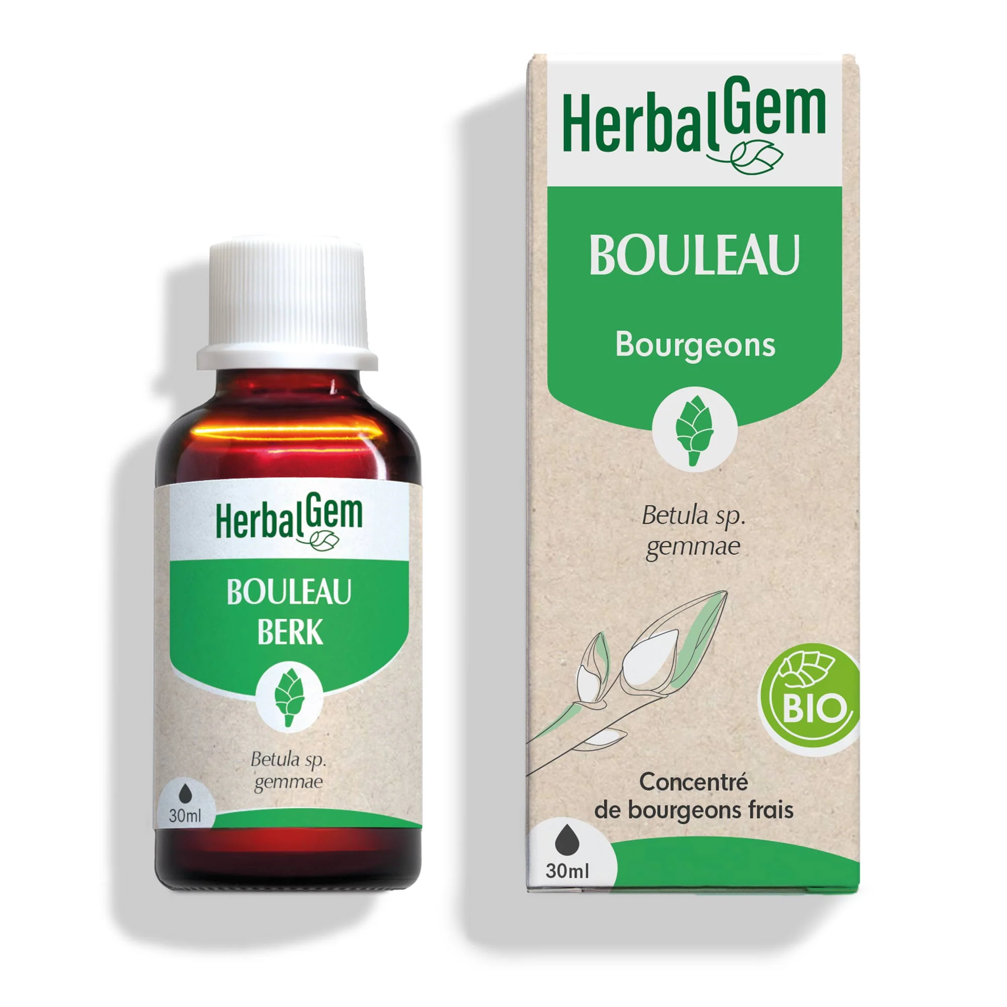 Bourgeon de Bouleau - Bio - Image 2