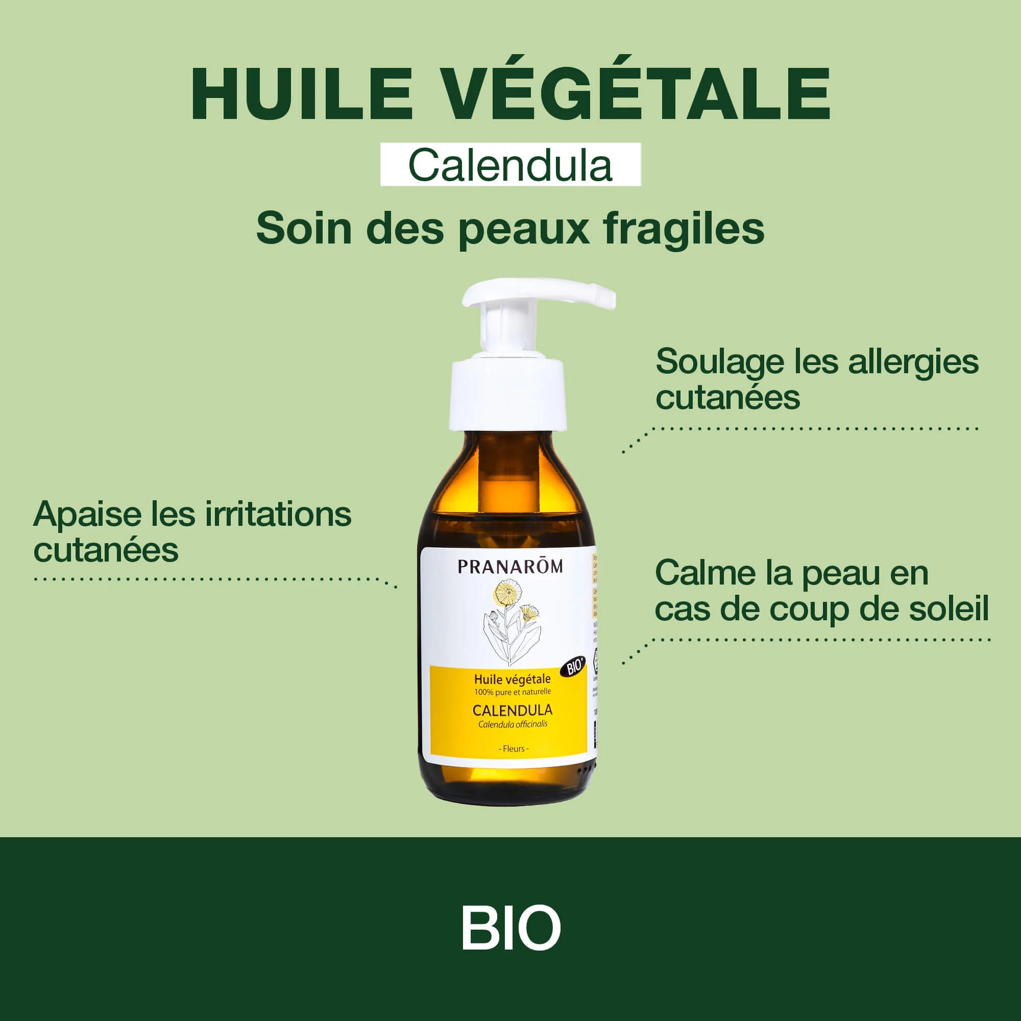 Huile Végétale de Calendula - Bio - Image 2