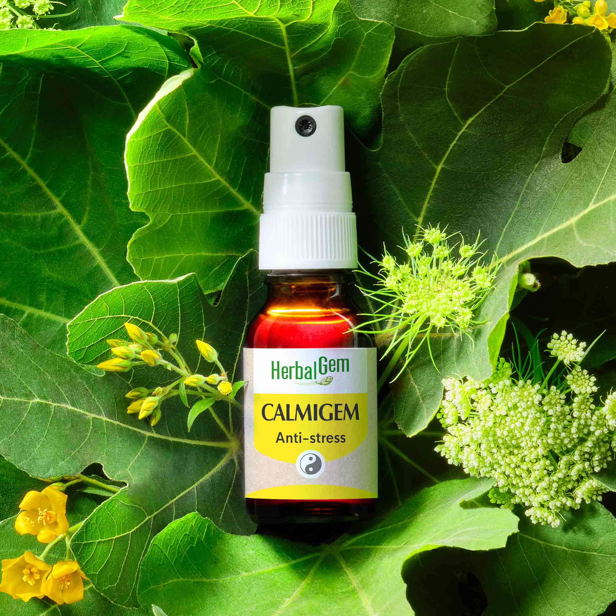 Calmigem spray - Bio - Image 2