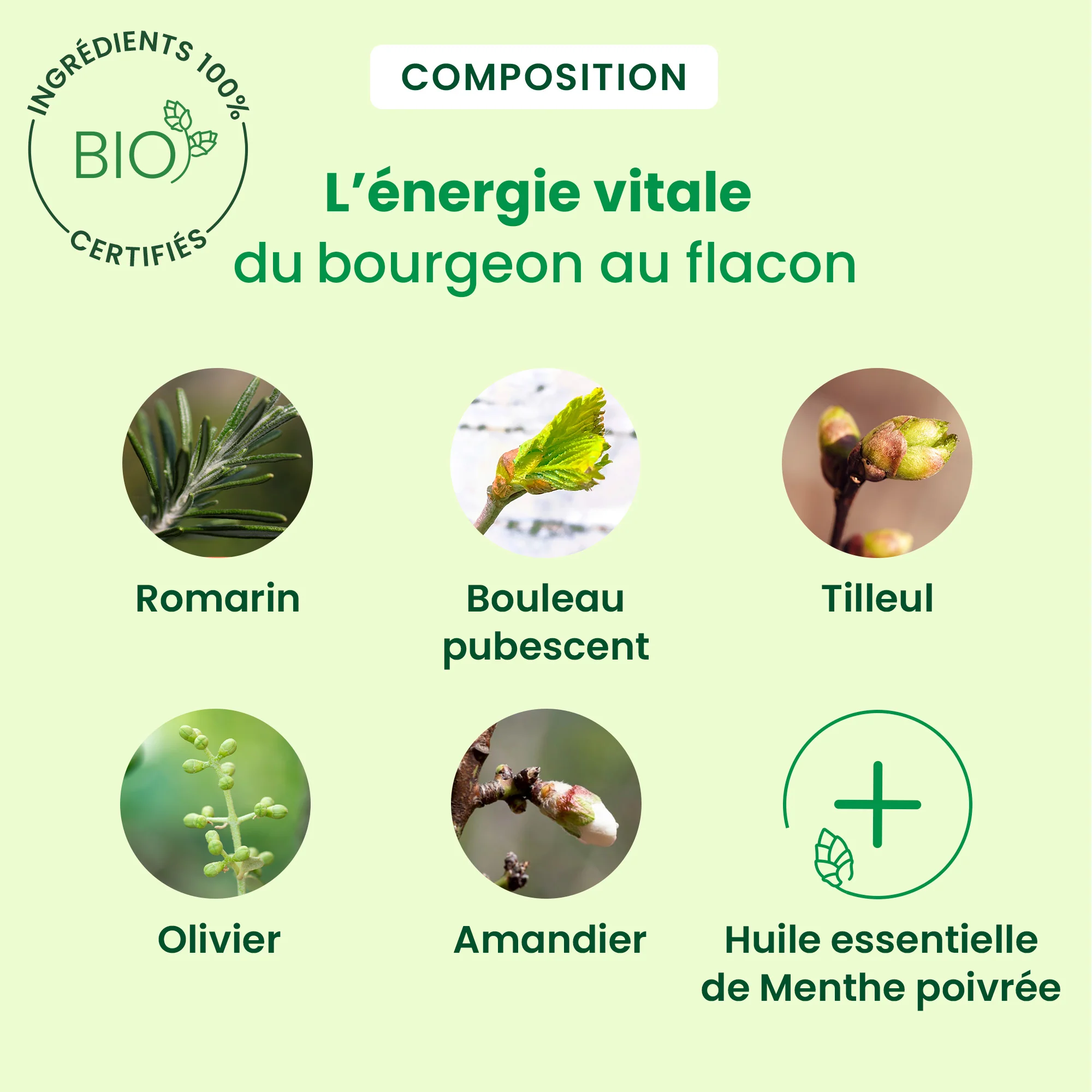 Cholestegem - complexe cholestérol - Bio - Image 4