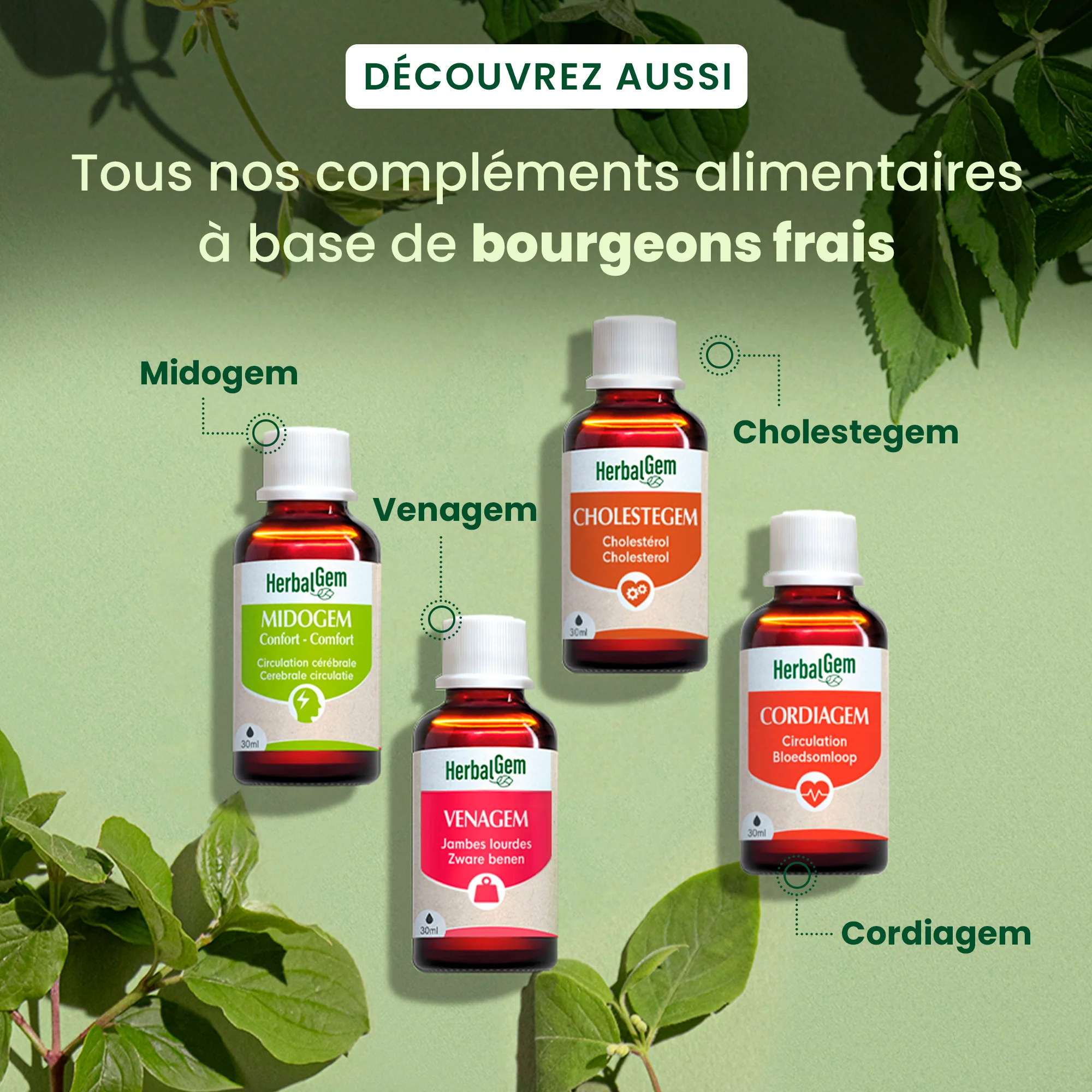 Cholestegem - complexe cholestérol - Bio - Image 6