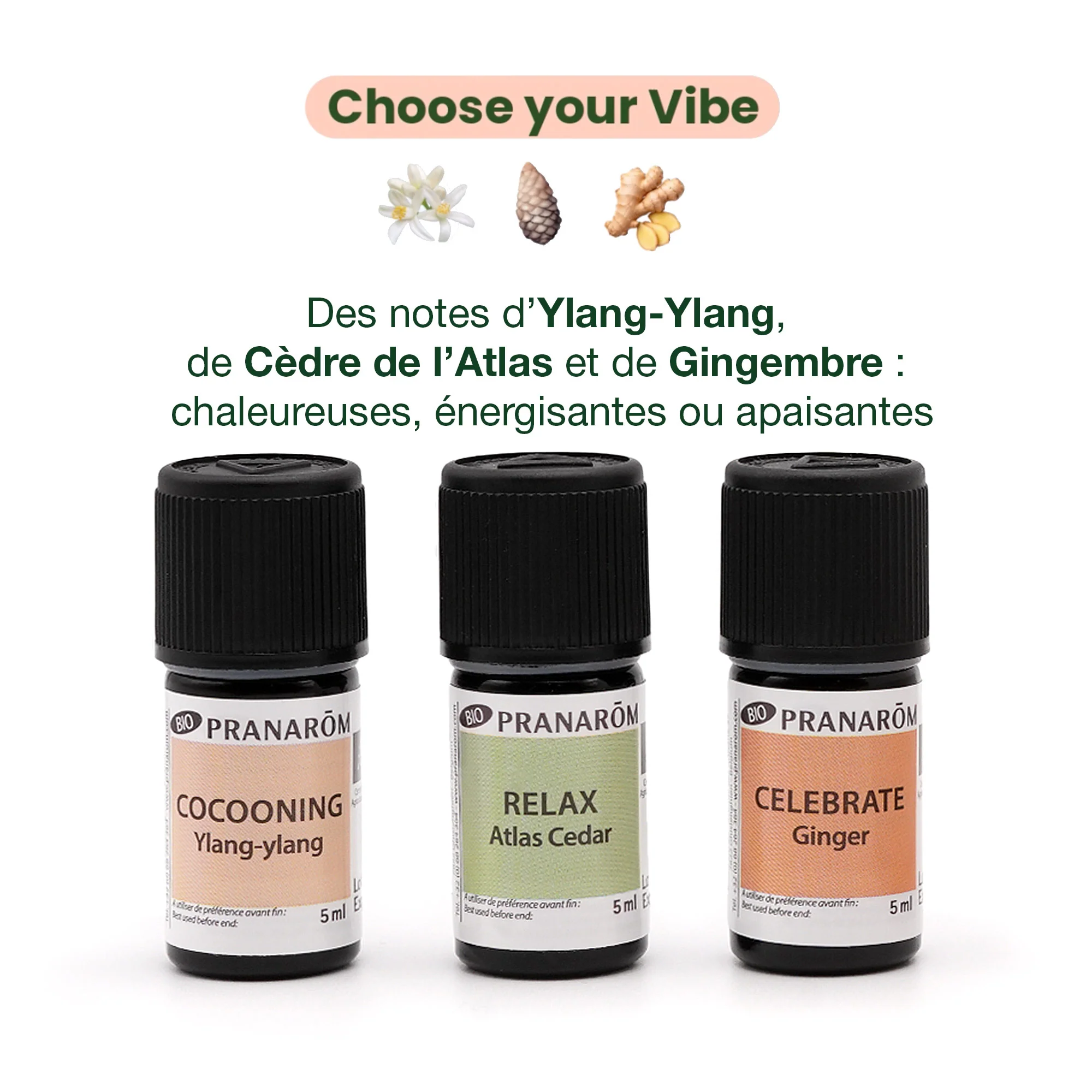 Coffret Choose Your Vibe BIO - Bio - Image 3