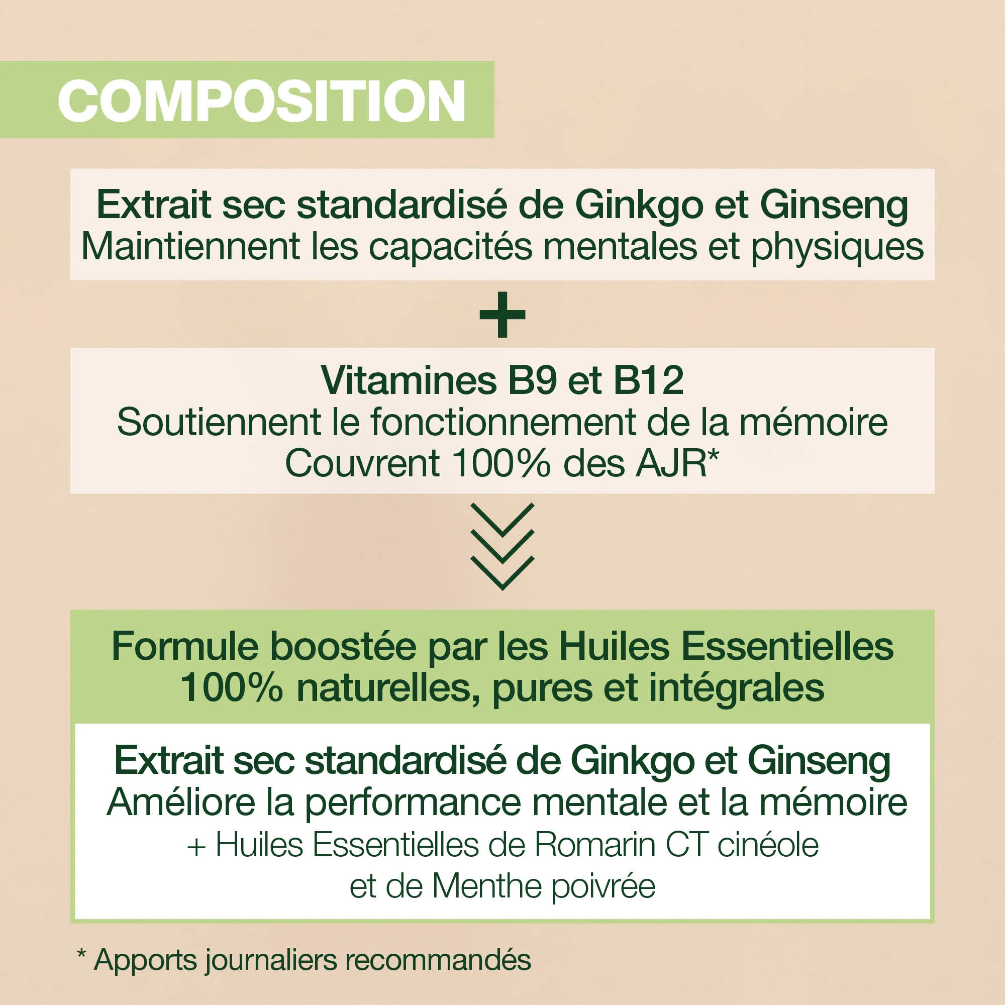 Complément alimentaire Focus - Image 2