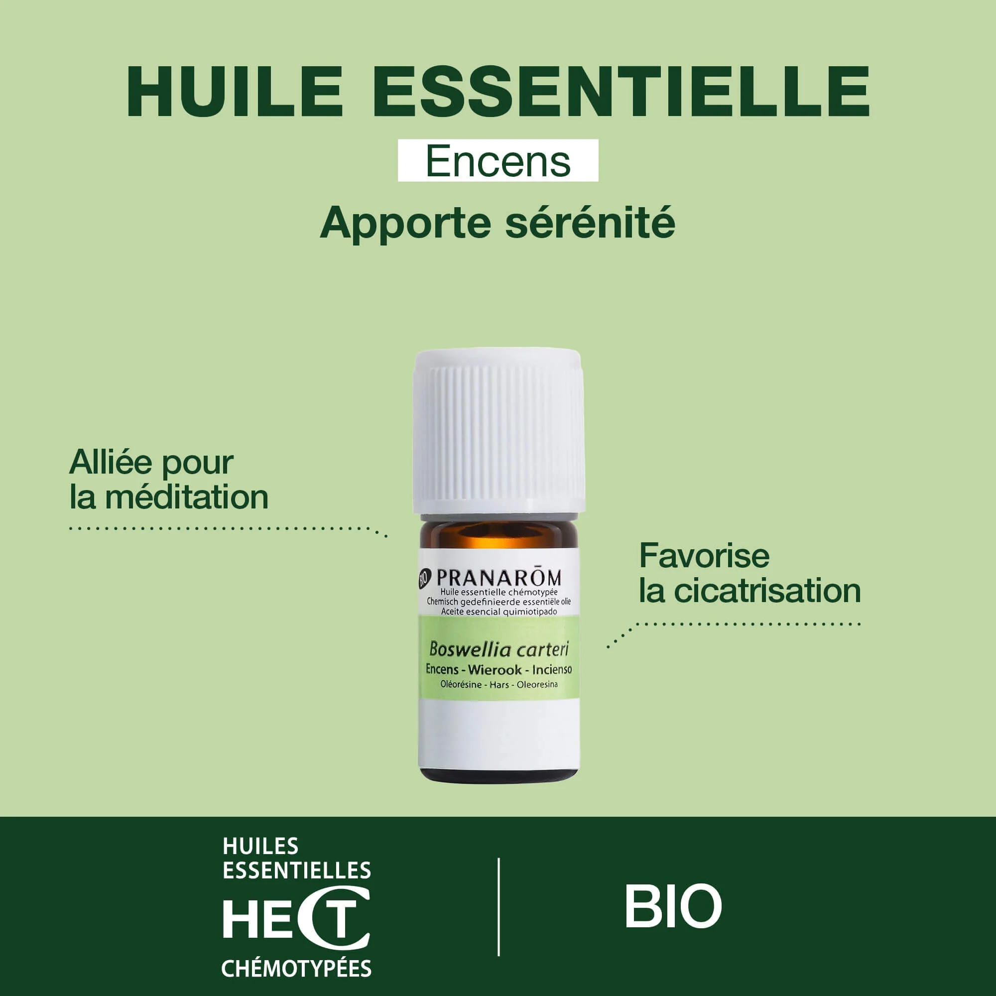 Huile Essentielle d'Encens - Bio - Image 2