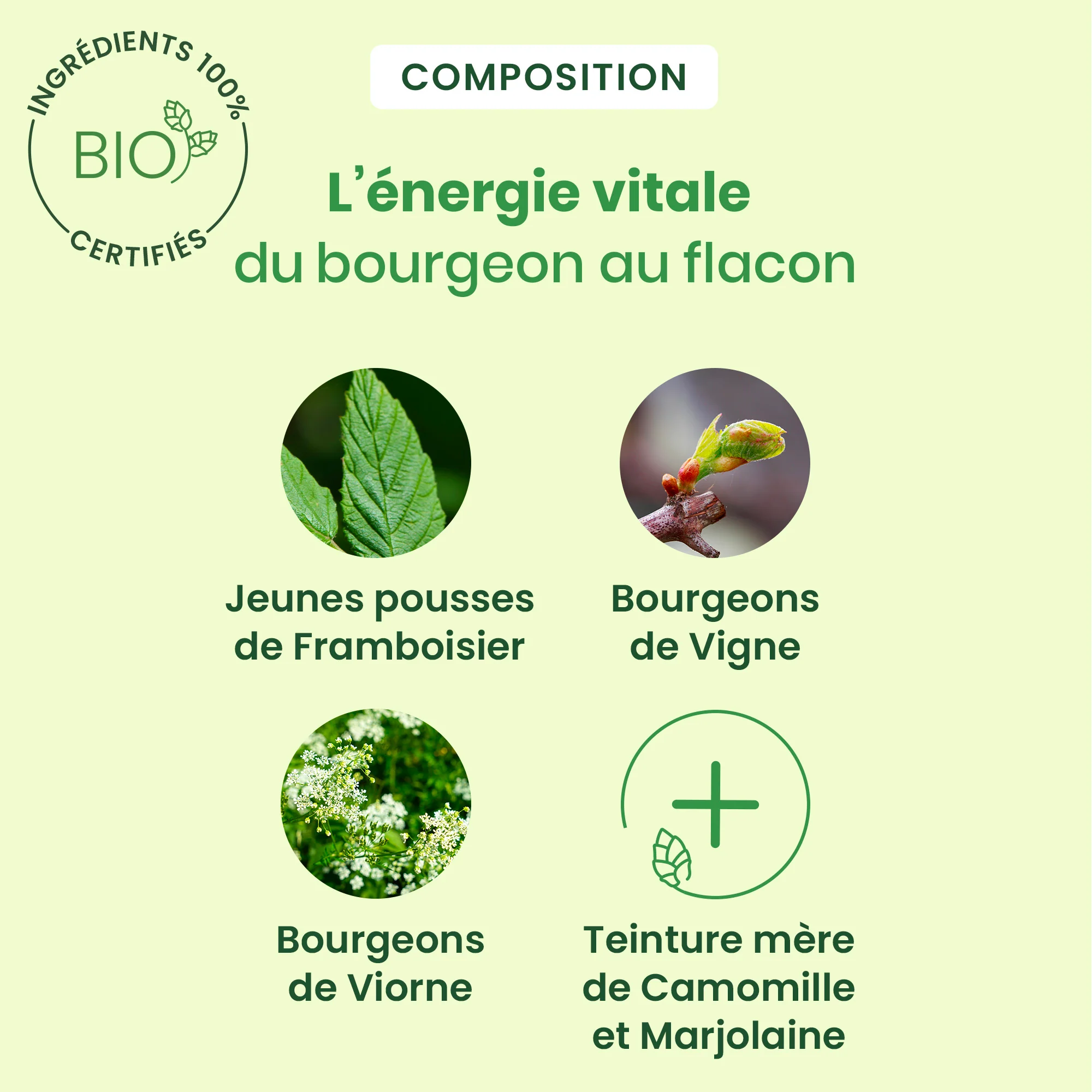Feminagem - cycle menstruel - Bio - Image 4