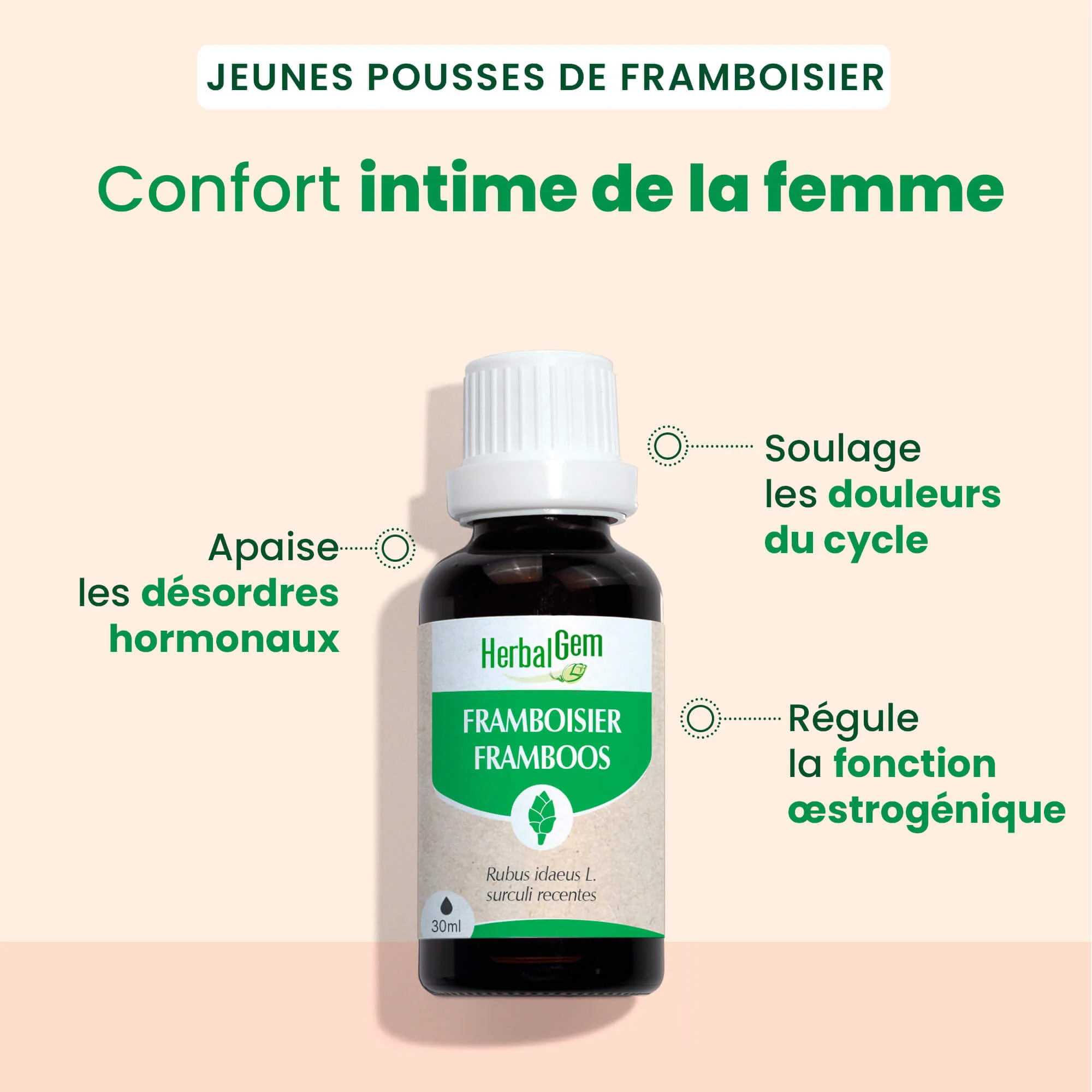 Bourgeon de framboisier - Bio - Image 3