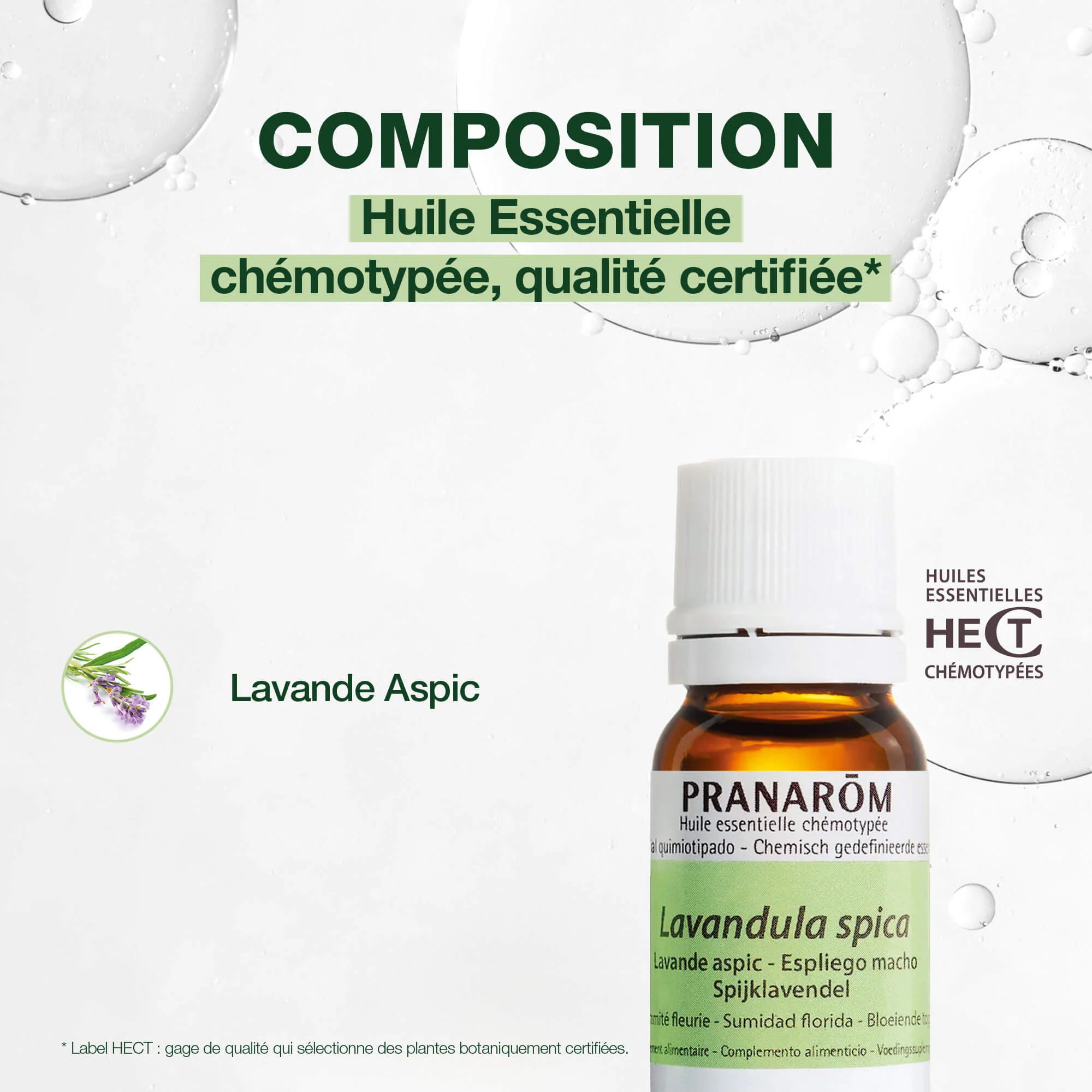 Huile Essentielle de Lavande aspic - Image 3