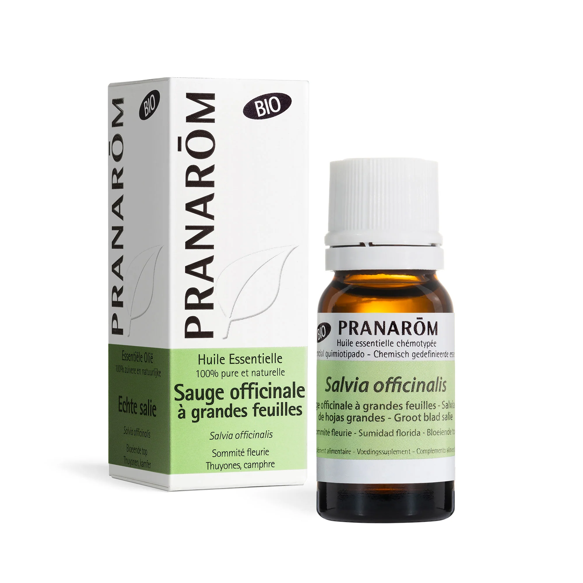 Huile Essentielle Sauge officinale à grandes feuilles - Bio