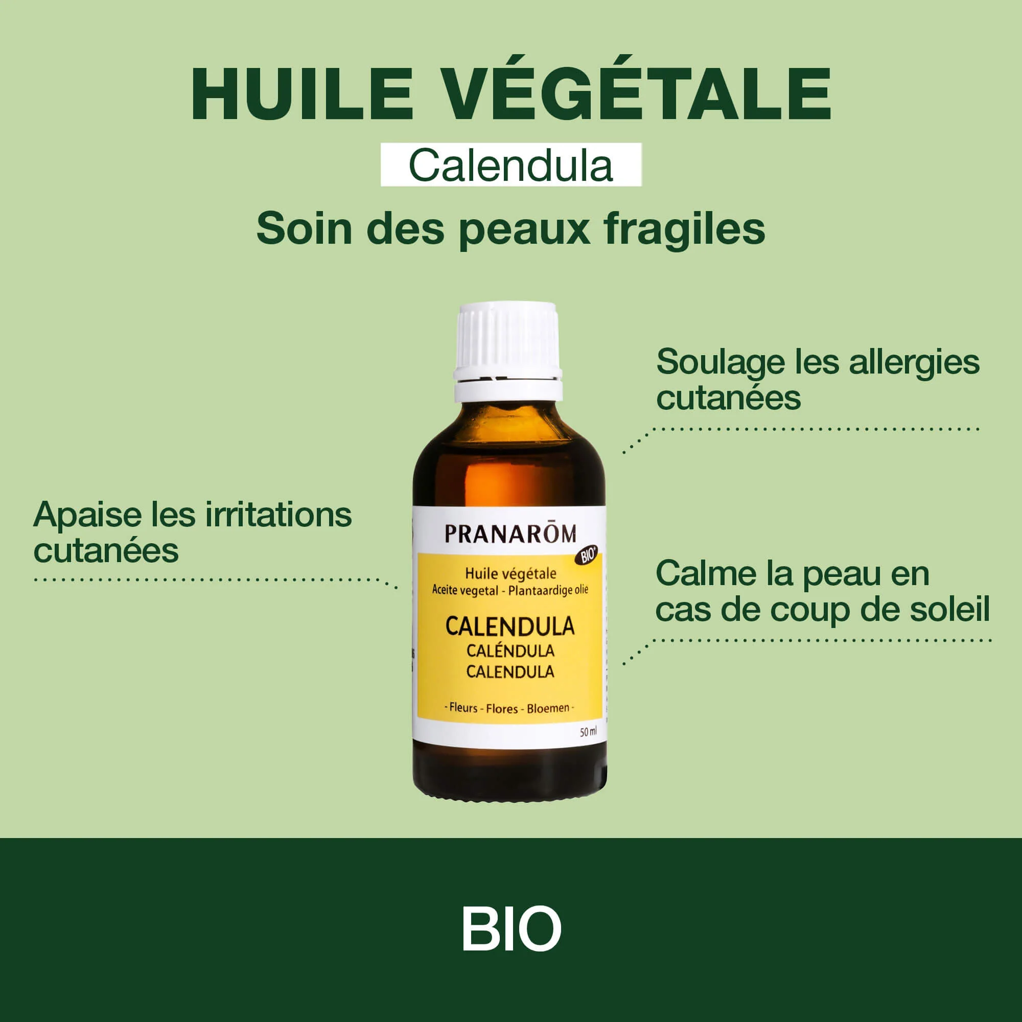 Huile Végétale de Calendula - Bio - Image 2