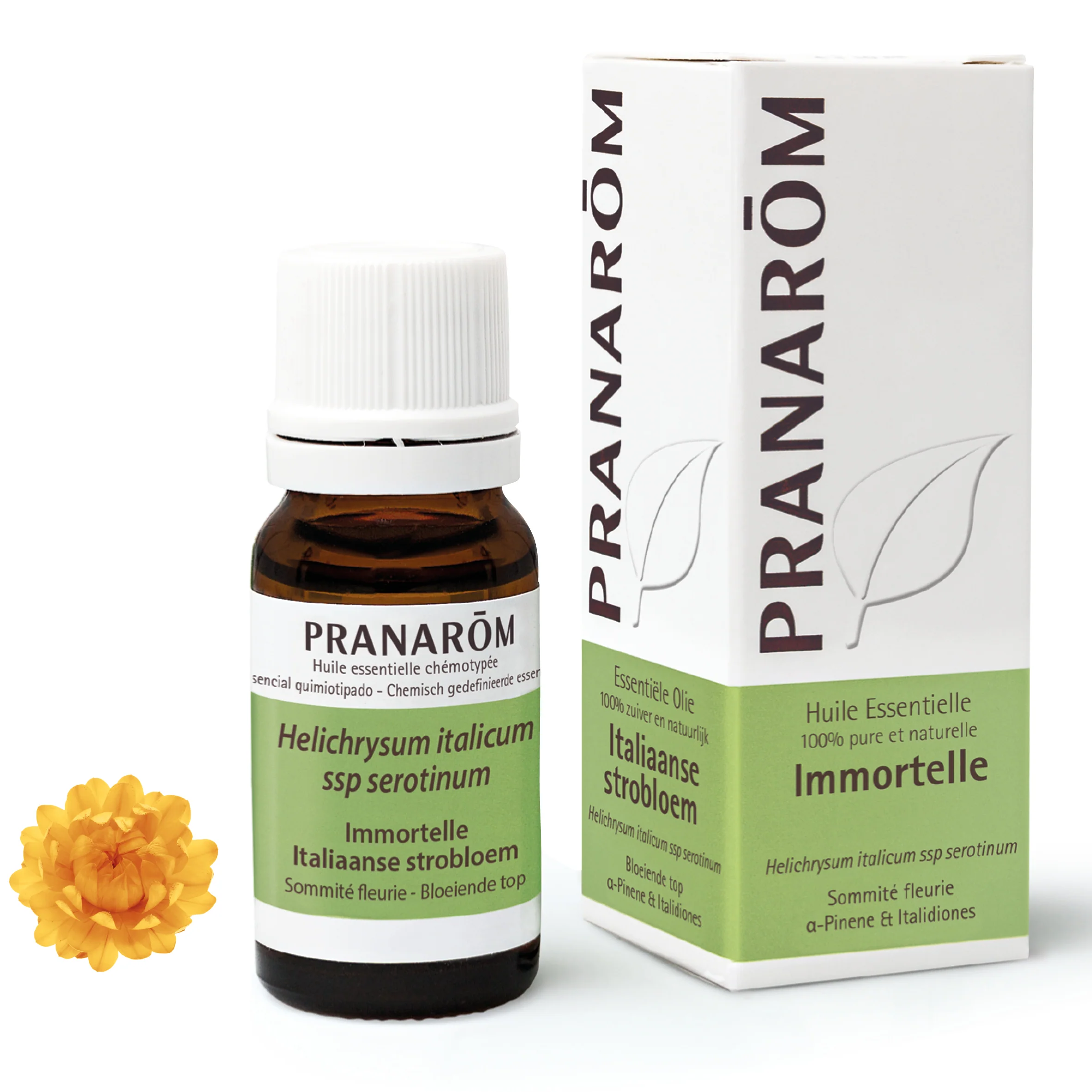 Immortelle