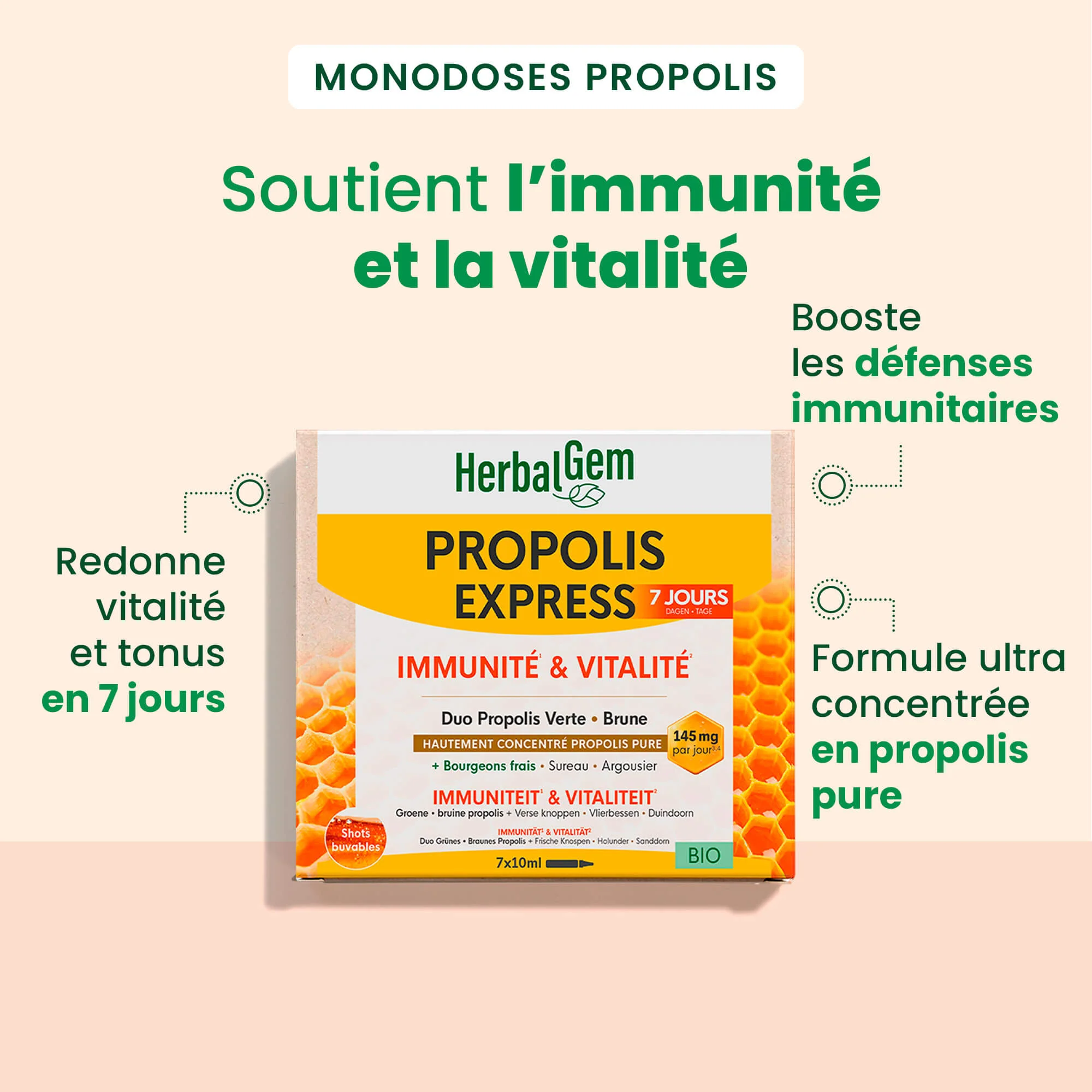 Propolis Express – solution liquide - Bio - Image 2