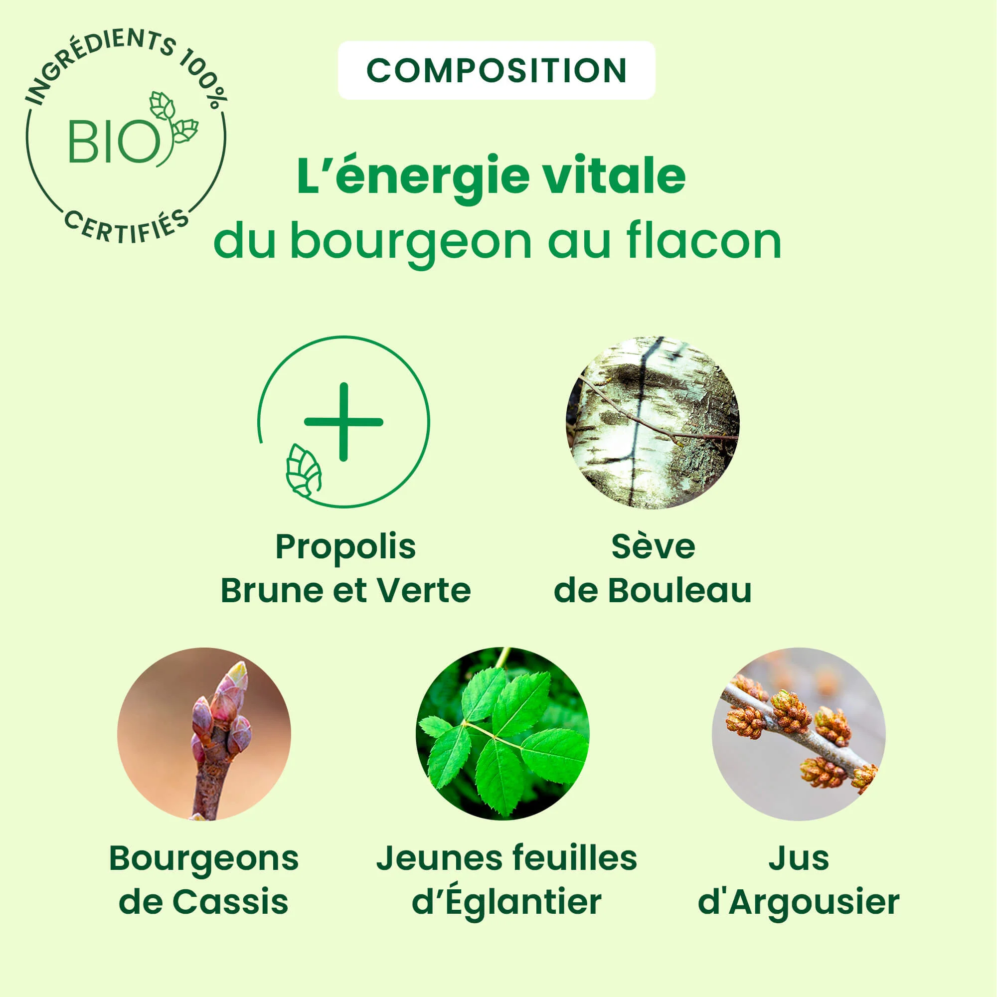 Propolis Express – solution liquide - Bio - Image 4