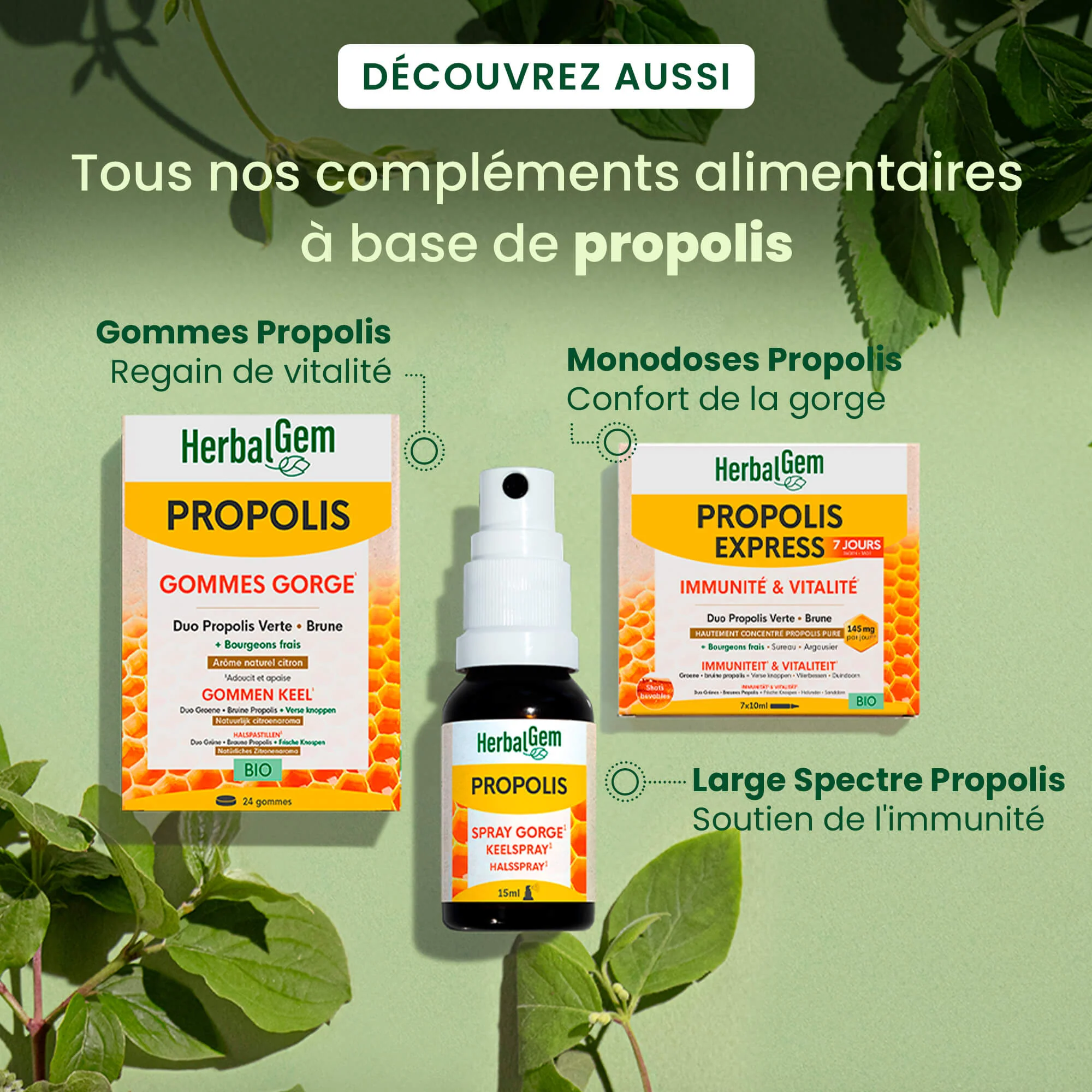Propolis Express – solution liquide - Bio - Image 6