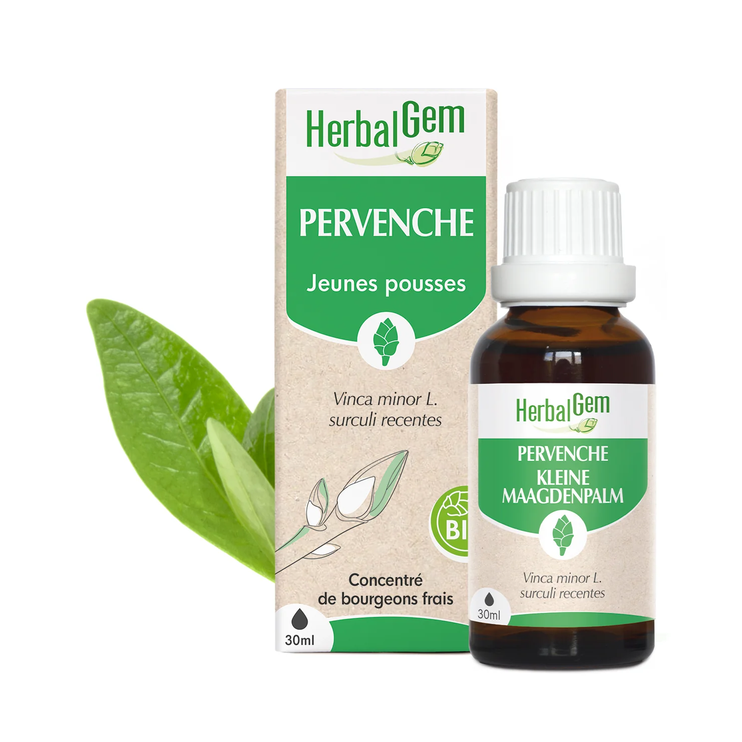 Bourgeon de Pervenche - Bio