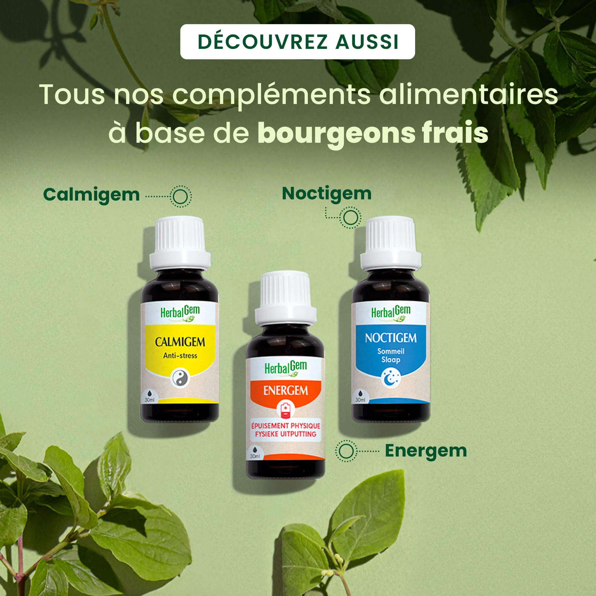 PrestaGem - confort masculin - Image 6