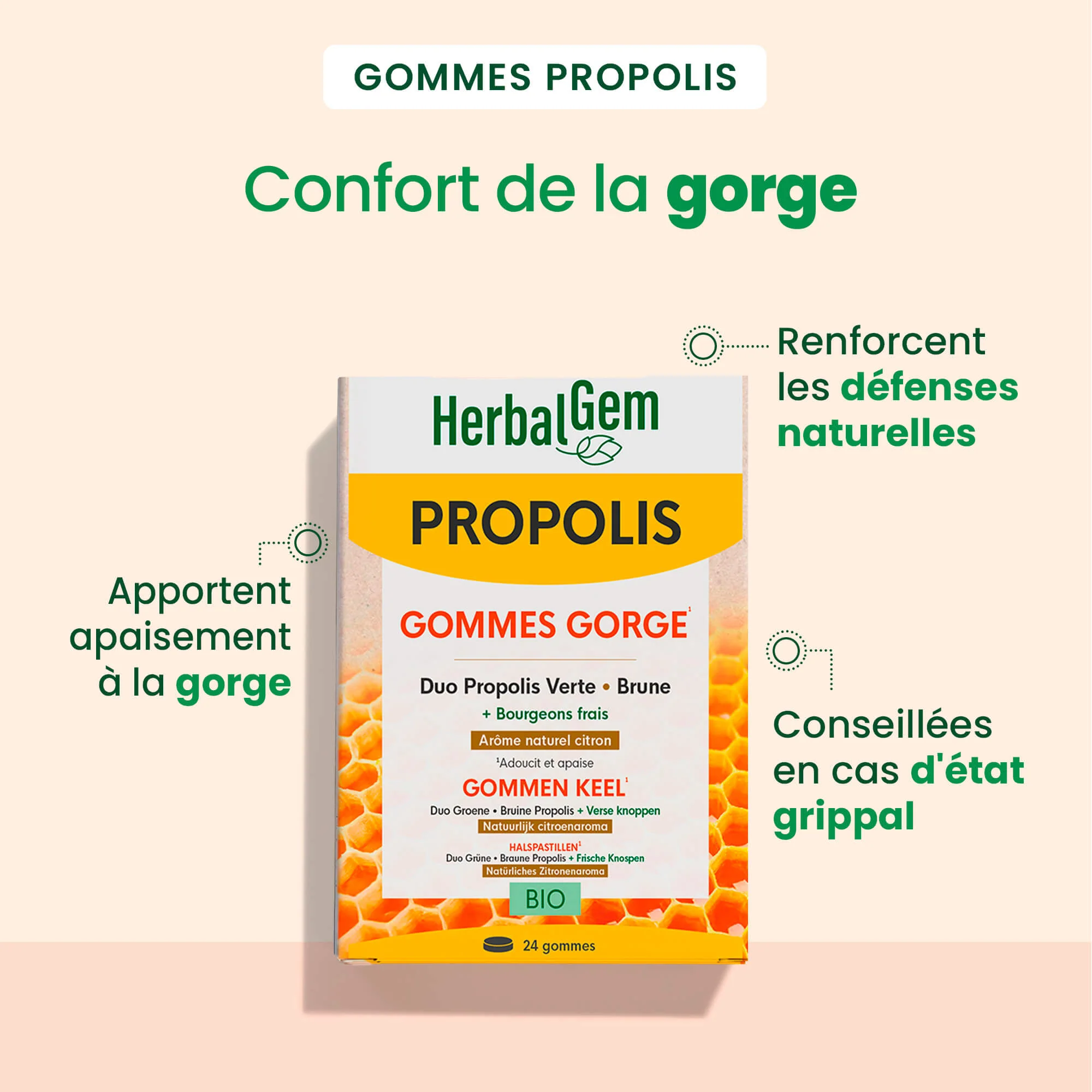 Gommes Gorge Propolis - Bio - Image 2