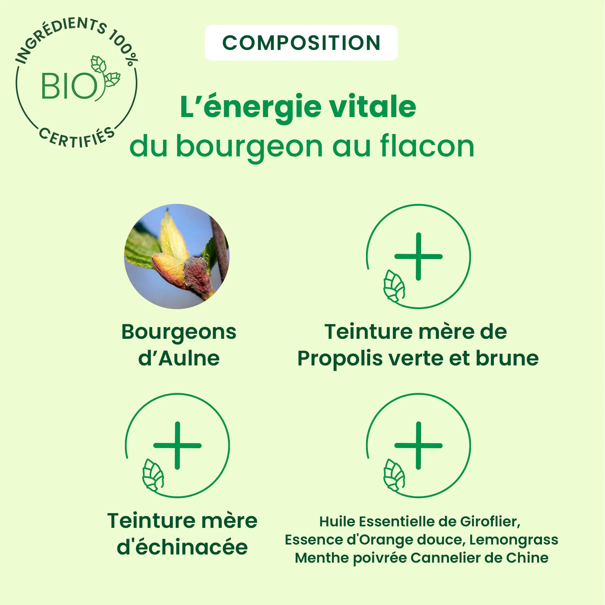 Gommes Gorge Propolis - Bio - Image 4