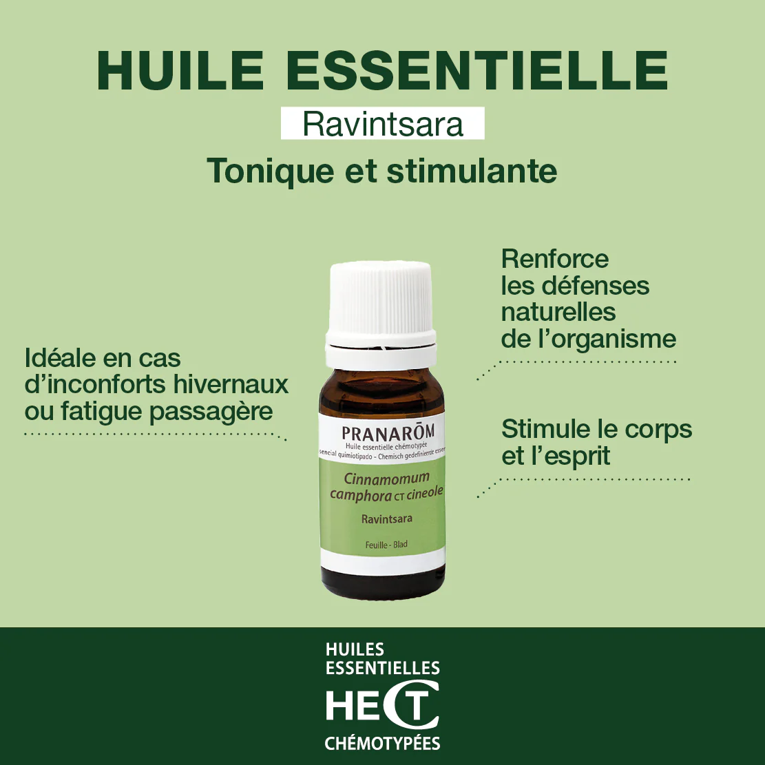 Huile Essentielle de Ravintsara - Image 2