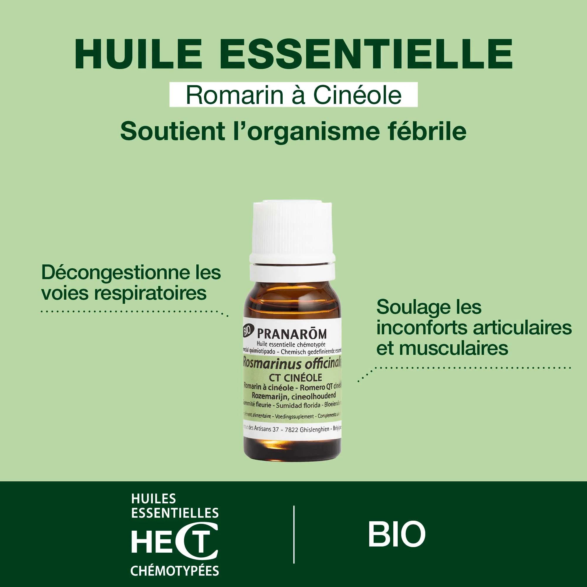 Romarin à cinéole - Bio - Image 2