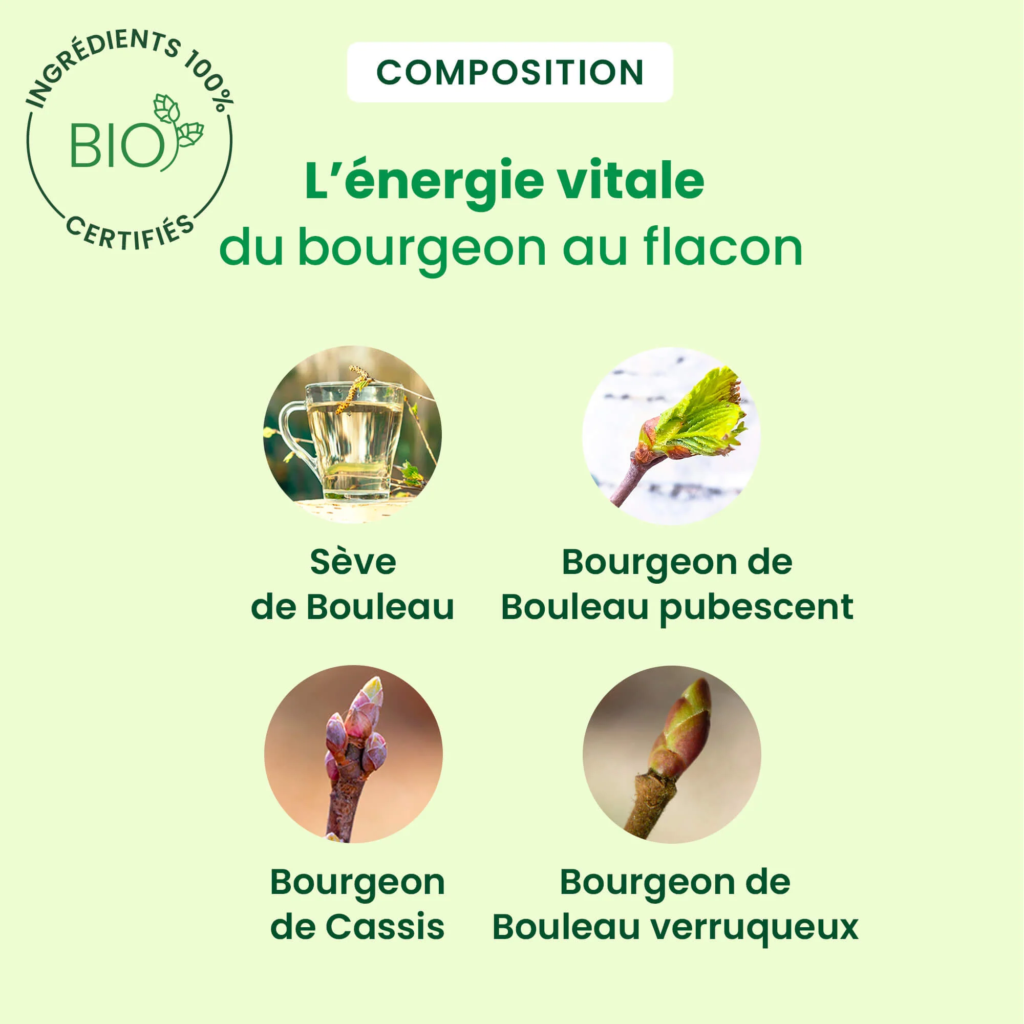 Sève détox - Bio - Image 3