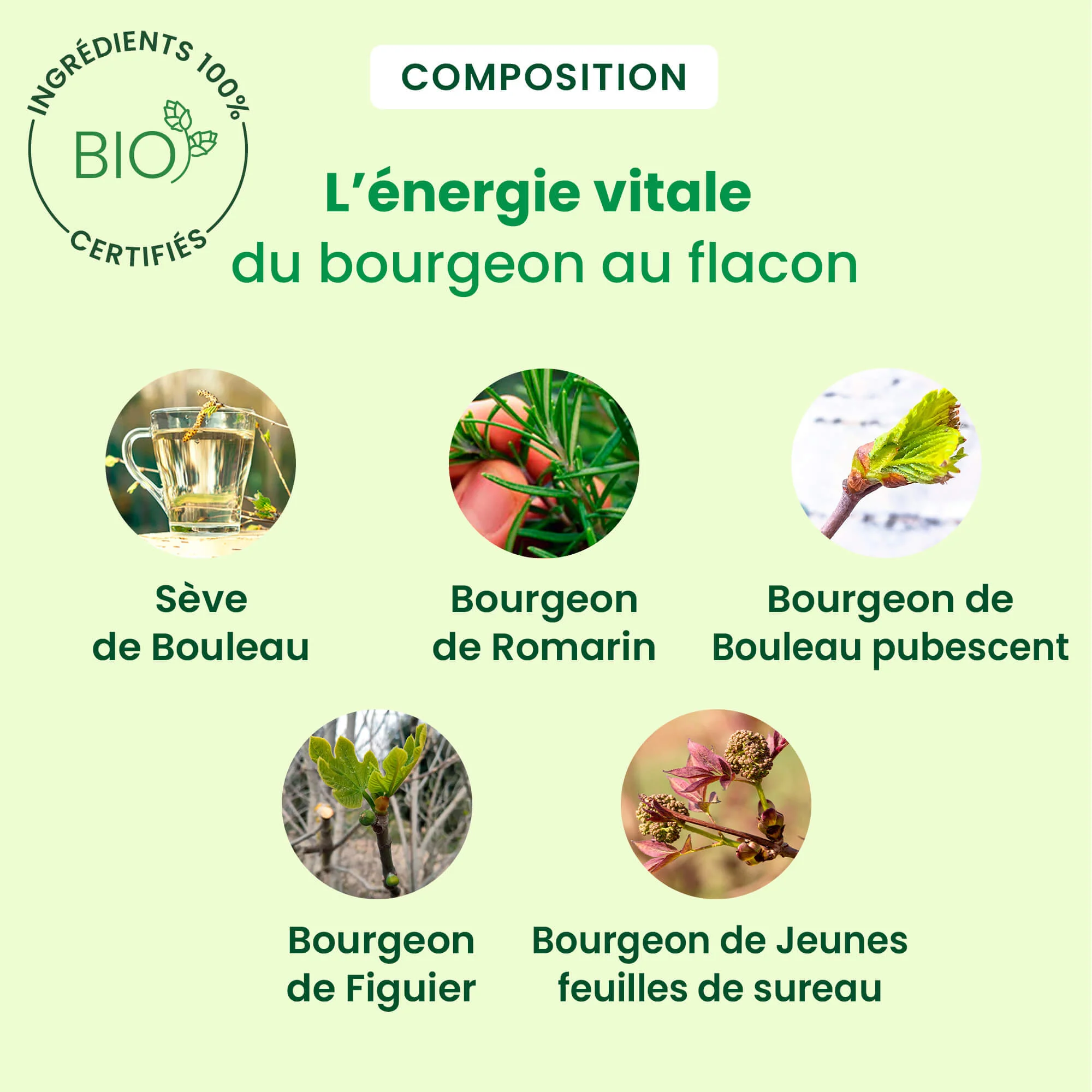 Sève ligne pour la silhouette - Bio - Image 3