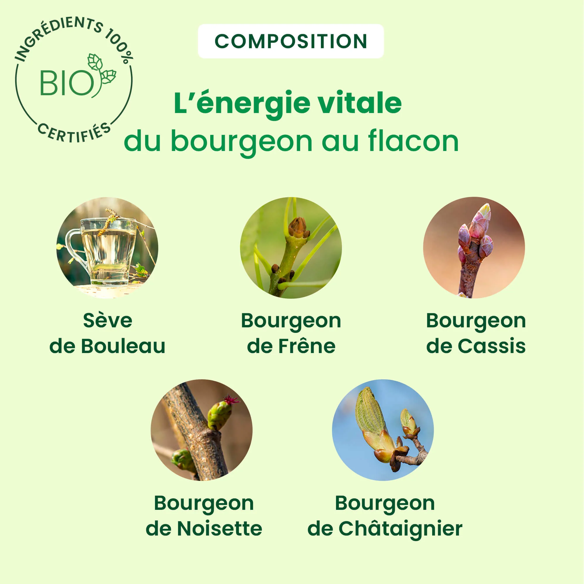 Sève minceur - Bio - Image 4