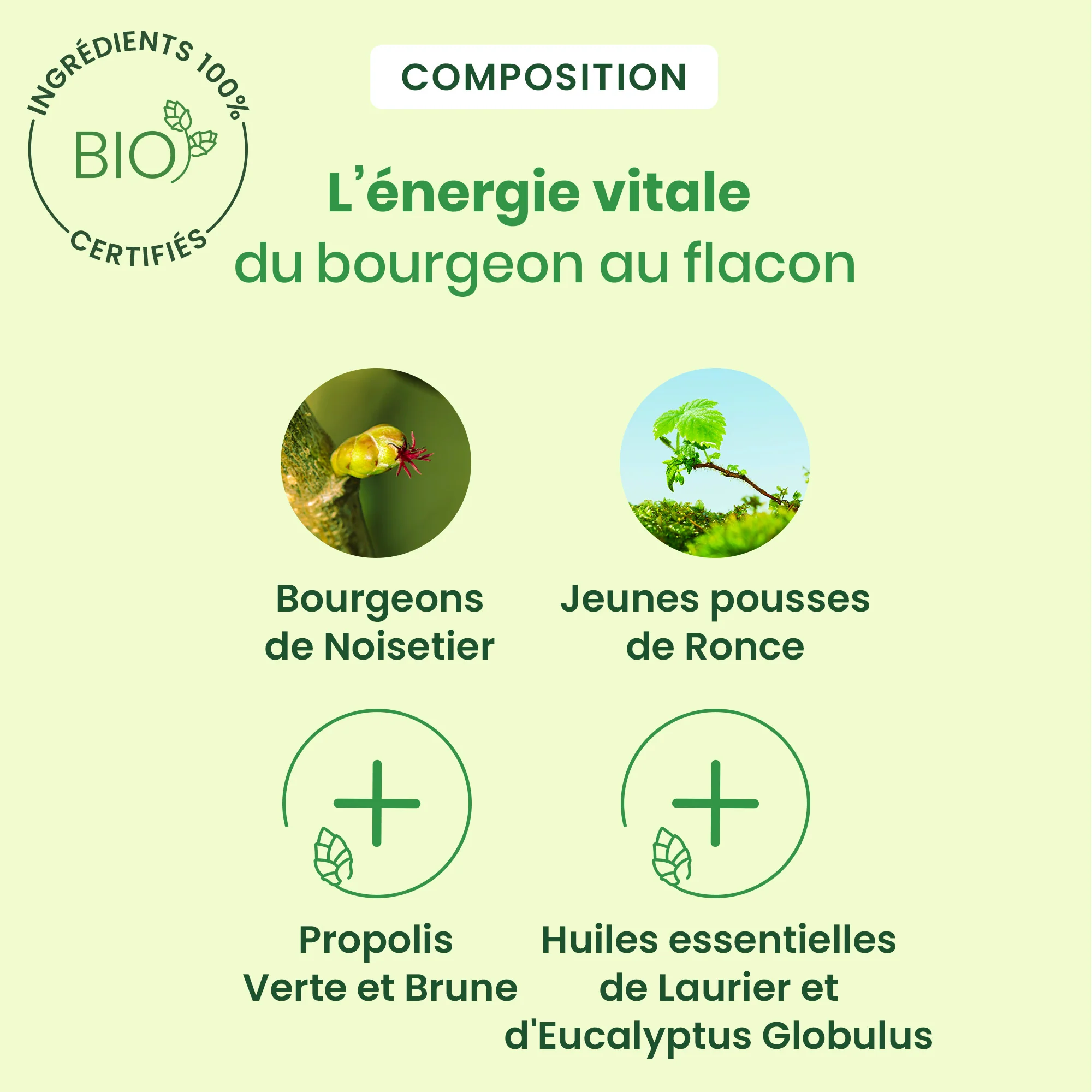 Sirop Fumeurs - Bio - Image 4
